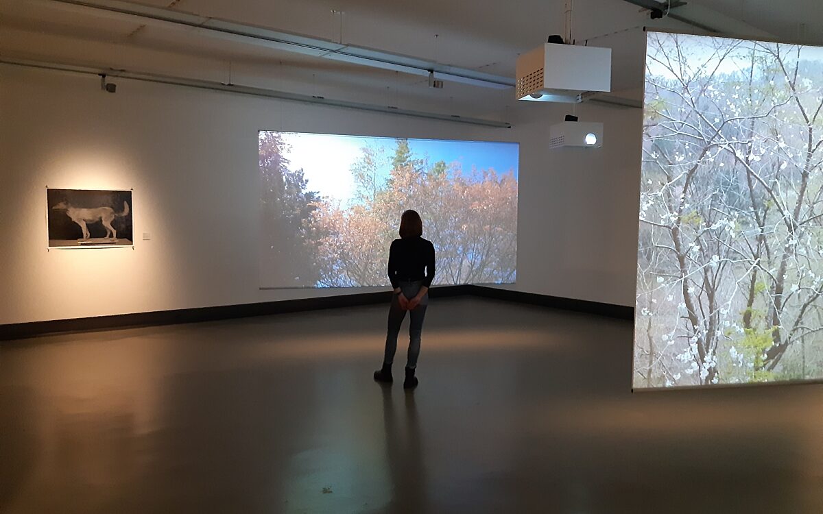 Ausstellung im Kulturspeicher "Tree and Oil" Würzburg Ausstellung im Kulturspeicher "Tree and Oil" Würzburg